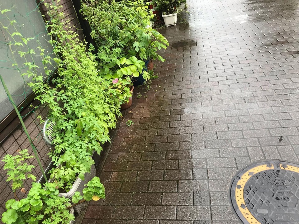 雨の東京出張